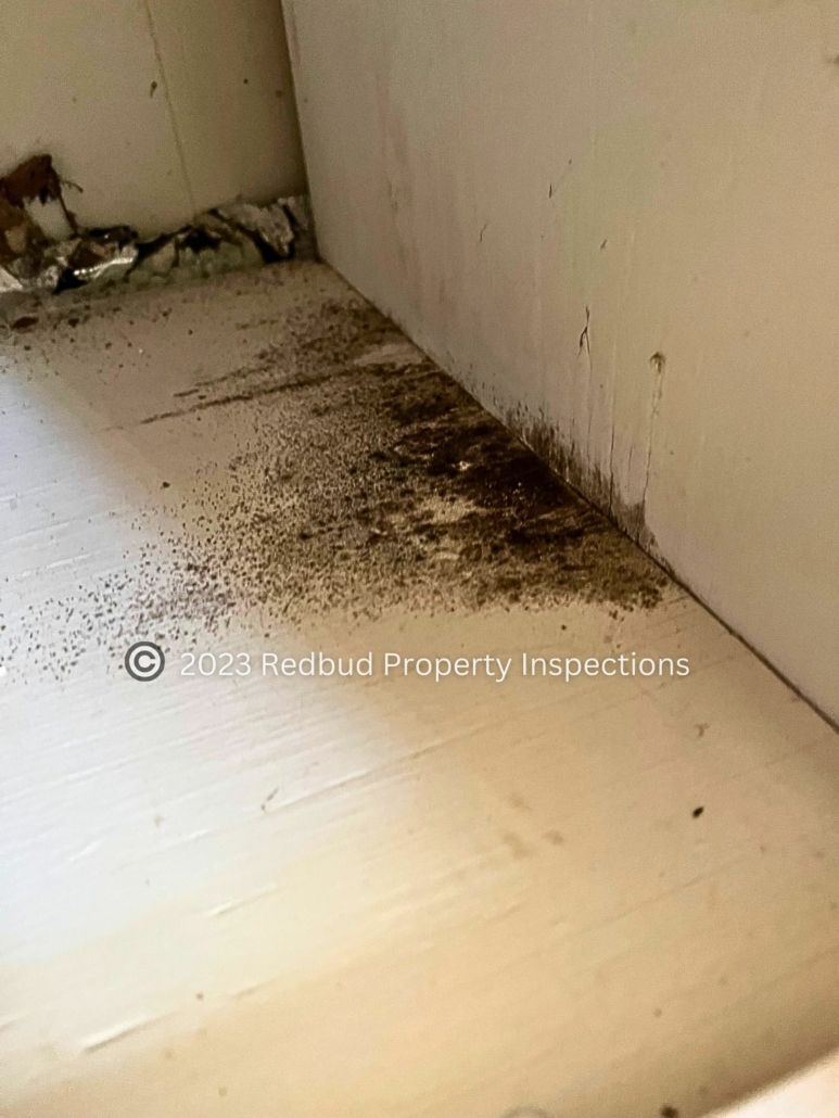 Mold Found, Mold Testing In Oklahoma