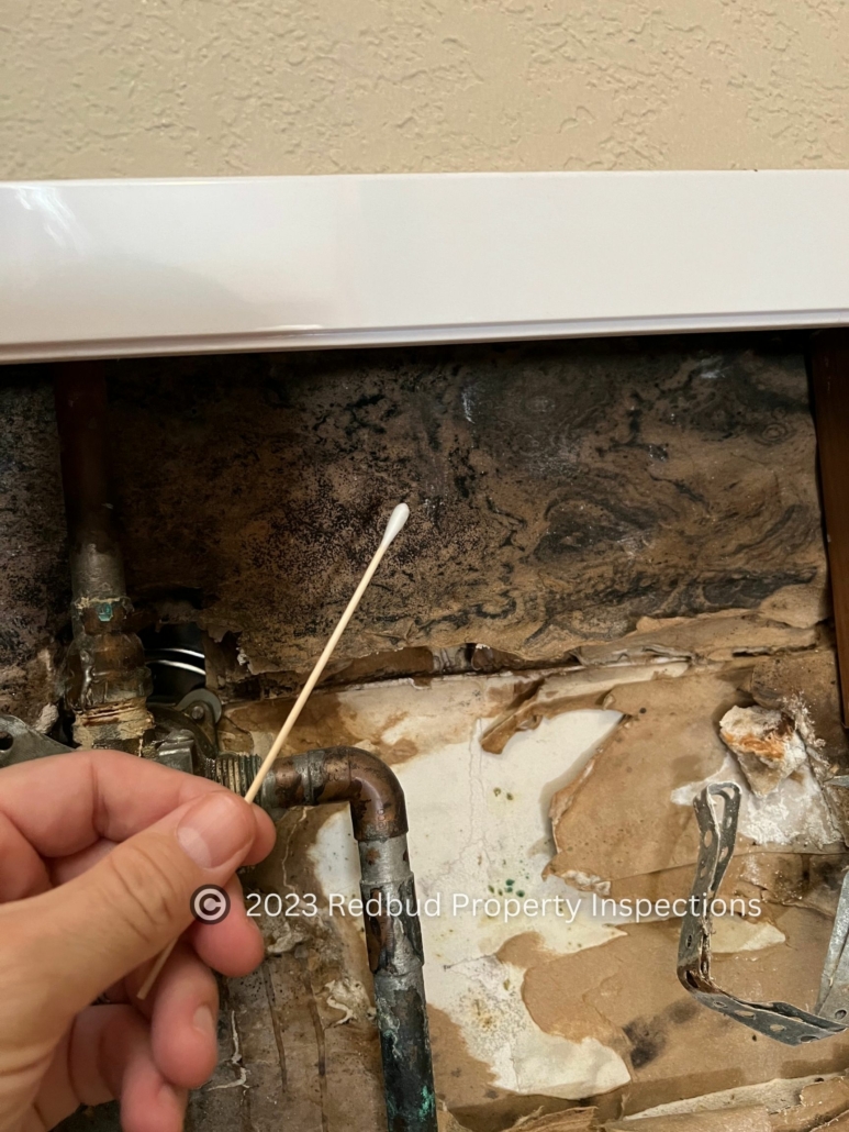 A Mold Inspection in Oklahoma Shows Mold Spores